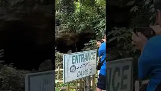 Monfort Bat Cave 1. Samal. Philippines. Tourist Attraction.