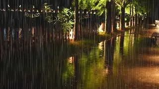 Cozy Rain Sound for Deep Sleep│Relax│White Noise│Calming
