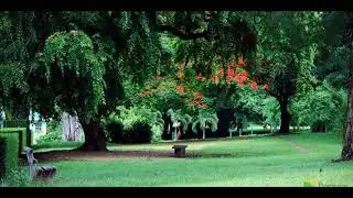 Jerry Lioyd - Yo Passa tohwer Mwenh