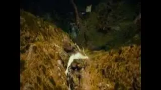 The Hobbit - Destiny of the Chosen