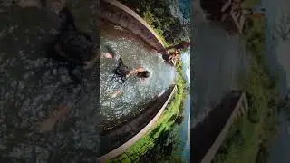 18th canal | water dive | invisible