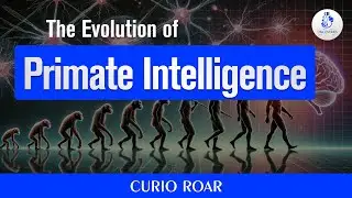 The Evolution of Primate Intelligence