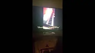 My Kitty, Apache is a dedicated Fan of Mine.