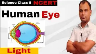 Human Eye ( Defects of Vision ) Light ll Lesson-16 Class 8th ll CBSE ll NCERT