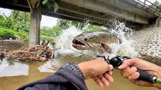 GOKIL! STRIKE BERTUBI TUBI