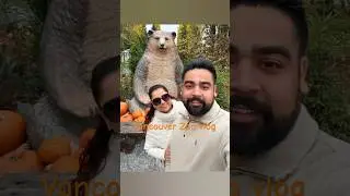 🦁 Exploring Vancouver Zoo🐻: Cute Animals, Fun Moments & Couple Adventures | Navam Diaries