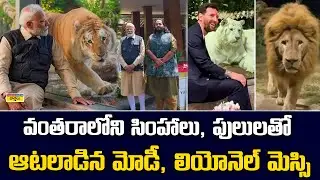 వంతరాలో ప్రధాని మోడీ & మెస్సి || PM Modi & Messi Playing with Lions and Tigers at Vantara
