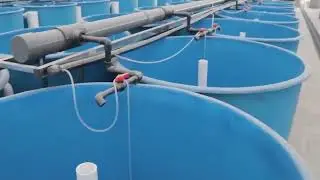 Qlozone Ras Fish Farm Large Fish Tank FRP Aquaculture Fish Tanks