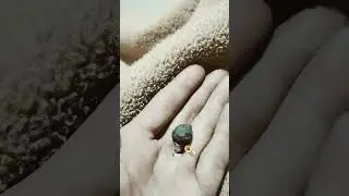 #hempindustry