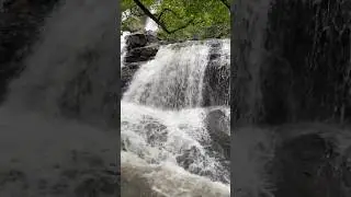 Waterfall Karjat#waterfall #karjat #mumbai #weekend #rainyseason #getaway #peaceful #soulful #nature