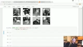 Using our Network - Using Convolutional Neural Network to Identify Dogs vs Cats p. 4