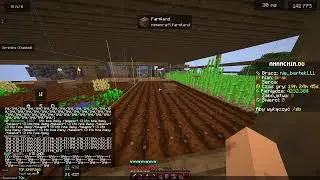 gramy na anarchi.gg