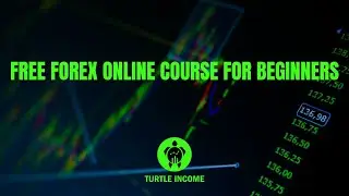 Step by Step Forex Trading for Beginners (2021 edition)