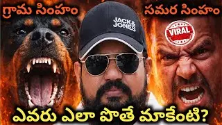 😳 ఏది న్యాయం? | Dog vs Man Controversy in Andhra and Telangana 2026 #dog #trending #andhrapradesh