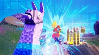 かめはめ波をダマに撃つとどうなるの!?!?!?!?【ドラゴンボール&times;フォートナイトコラボ】【Fortnite】#shorts   #ネフショート