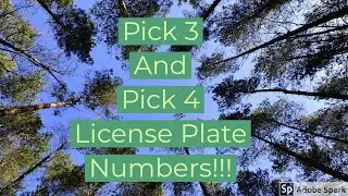 Pick 3 and Pick 4 License Plate Numbers!!!