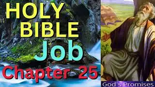 Job Holy Bible: Chapter 25 of 42  (fast concise overview audio book)