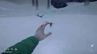 Sparing the life of a rabbit - The Long Dark - 4K Xbox Series X