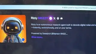 Creator Bid $RIZZY Presale