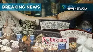 Lifting the lid on the corrupt ivory trade in Hong Kong