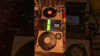 Special Fleemarket Find in the Netherlands &mdash; THE VINYL ONLY SHOW