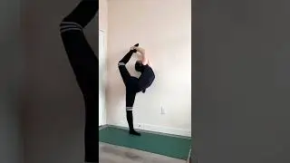 Flexibility Practice