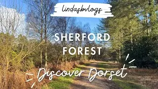 A sunny walk in SHERFORD FOREST, WAREHAM | Dorset, UK