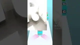 жиза
