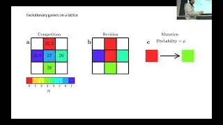 Simulation of Complex Systems 2021 - Chapter 13 - Evolutionary Games