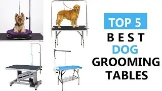 Best Dog Grooming Tables - Top 5 Best Dog Grooming Tables Review