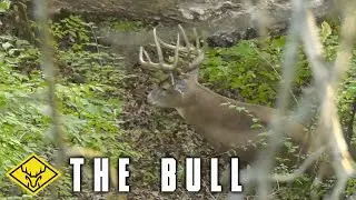 THE BULL | Closing in on a GIANT Ghost Buck...