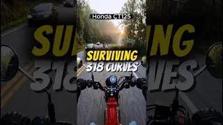 POV Riding Tail of the Dragon at Sunrise &ndash; 318 Curves in 11 Miles | Honda CT125 Extreme Ride