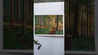 Art Transition #illustration #realism #artvideo #forestpainting #nature #gouache #dailyshorts