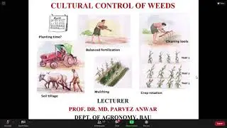 Cultural Control of Weed