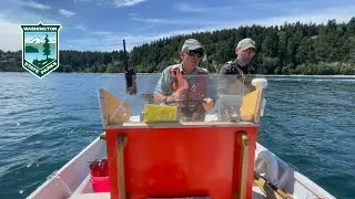 Cama Beach State Park & Foundation ROV Project