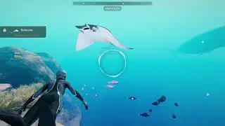 Beyond Blue - Free Epic Game First Look!  Feb. 8, 2025 #beyondblue