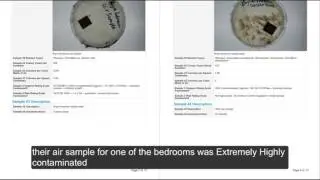DIY mould test kit lab report sample from mould.net.au