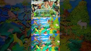 Science Presentation Diorama ANIMALS AND THEIR HABITATS #DIORAMA #ANIMALS #habitat