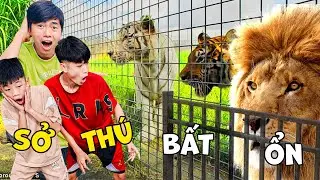 Thái Chuối Đại Náo Sở Thú Trong Mưa - Ngày Thăm Quan Bất Ổn