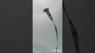 ලස්සනම ලස්සන නයා සරුංගලයක් 🐍 | sarungal | how to make kites | sarungal 2024 | sl kite king #shorts