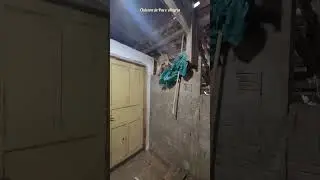 Goat acrobatics