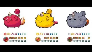 AXIE ORIGIN PRO MAX RAGE TEAM OFF SEASON 7