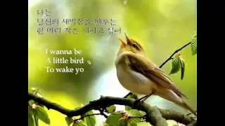 그리움에게 - 시인 차신재  Dear Longing - Korean poet Cha SinJae 한영자막 Korean & English captions