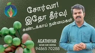 Amazing Health Benefits of Turkey Berry | Sundakkai Uses Explained by Dr. Rajendhiran