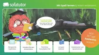 Kiemen einfach erklärt – Bau & Funktion
