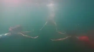 3 Mermaids Swim in Cultus Lake