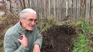 Wisdom of an Anthill