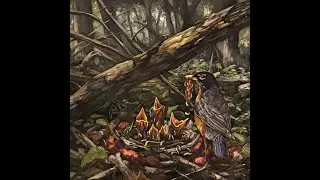 The Acacia Strain - 2023 - Step Into The Light (Deathcore, DR11)