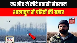 Kashmir Shallabugh Wetland in Ganderbal Comes Alive with Thousands of Winter Visitors | News18 JKLH