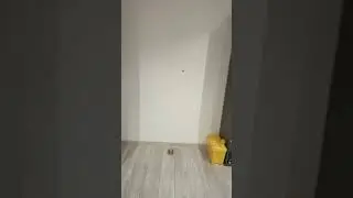 pukawka
